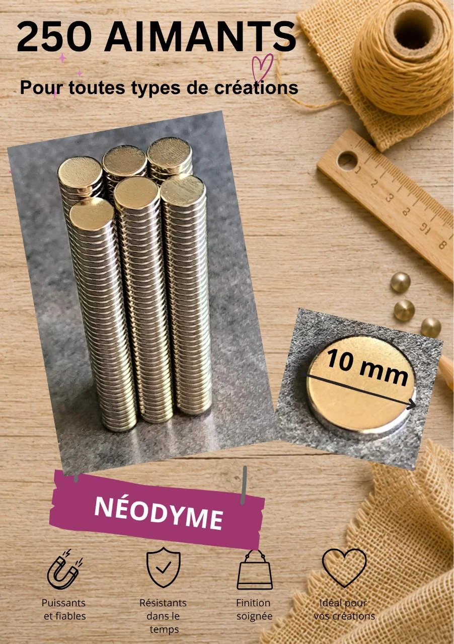 Lot de 250 aimants très puissants néodyme en 10 mm